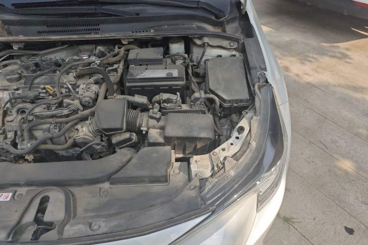 Used Toyota Levin 2021 TNGA 1.5L CVT Leading Edition Engine Bay Left