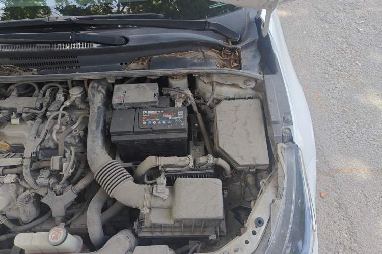 Used Toyota Levin 2021 185T CVT Sport Edition Engine Bay Left