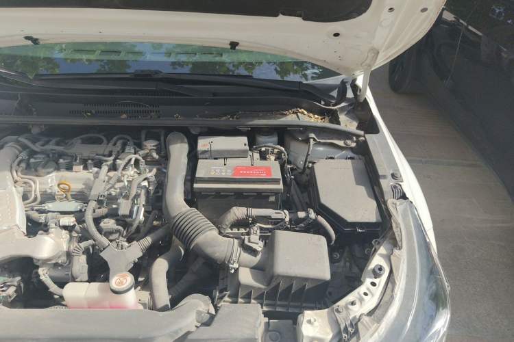 Used Toyota Levin 2021 185T CVT Luxury Edition Engine Bay Left
