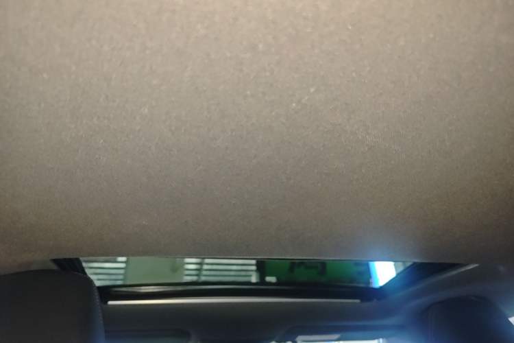 Used Toyota Levin 2021 185T CVT Sport Edition Headliner