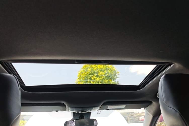 Used Toyota Levin 2021 185T CVT Luxury Edition Headliner
