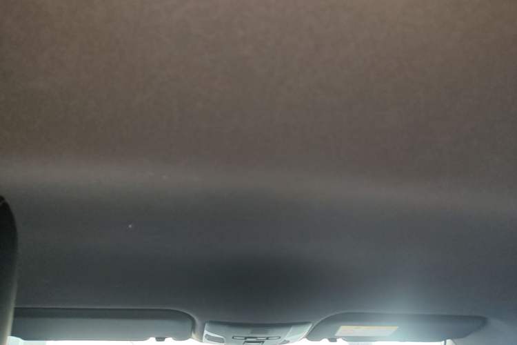 Used Toyota Levin 2021 185T CVT Entry-Level Version Headliner