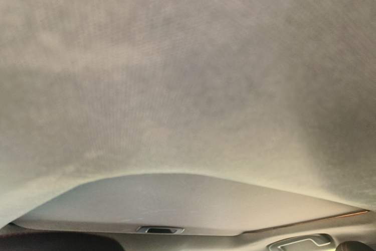 Used Toyota Levin 2021 185T CVT Sport Edition Headliner