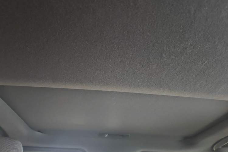 Used Toyota Levin 2021 185T CVT Luxury Edition Headliner
