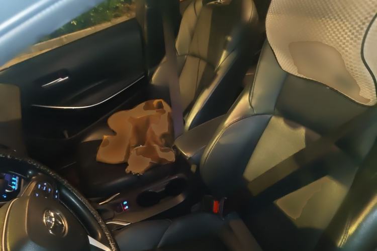 Used Toyota Levin 2021 185T CVT Luxury Edition Left Front Seat