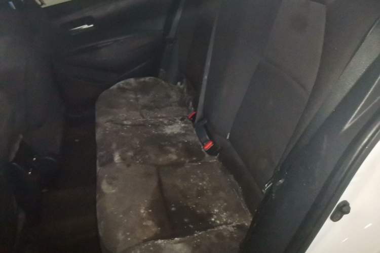 Used Toyota Levin 2021 185T CVT Luxury Edition Left Rear Seat