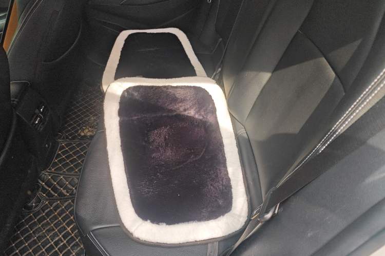Used Toyota Levin 2021 185T CVT Luxury Edition Left Rear Seat