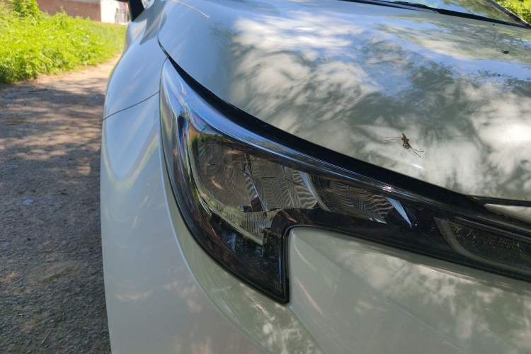 Used Toyota Levin 2021 Dual-Engine 1.8H E-CVT Luxury Edition Right Front Headlight