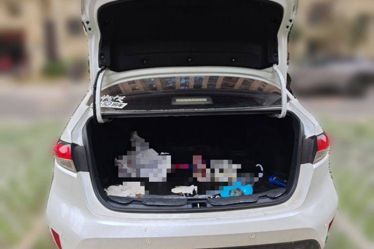 Used Toyota Levin 2021 185T CVT Luxury Edition Trunk