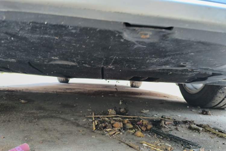 Used Toyota Levin 2022 TNGA 1.5L CVT Progressive Edition Chassis Front
