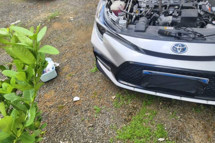 Used Toyota Levin 2022 Dual-Motor 1.8H E-CVT Sport Edition Engine Bay Right