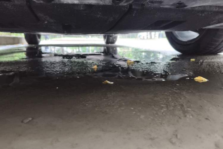 Used Toyota Levin 2022 Dual-Motor 1.8H E-CVT Sport Edition Chassis Front