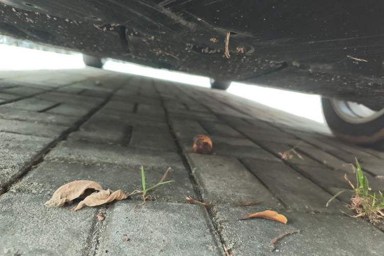 Used Toyota Levin 2022 185T CVT Tech Edition Chassis Front