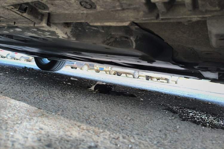 Used Toyota Levin 2022 Dual-Motor 1.8H E-CVT Leading Edition Chassis Front Right