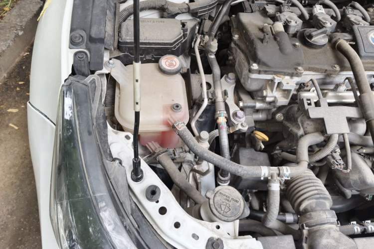 Used Toyota Levin 2022 Dual-Motor 1.8H E-CVT Sport Edition Engine Bay Right