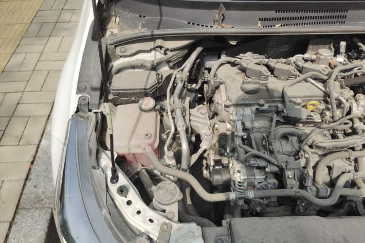 Used Toyota Levin 2022 TNGA 1.5L CVT Progressive Edition Engine Bay Right