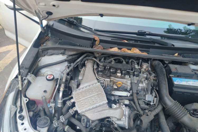 Used Toyota Levin 2022 185T CVT Sport Edition Engine Bay Right