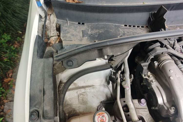 Used Toyota Levin 2022 185T CVT Luxury Edition Engine Bay Right