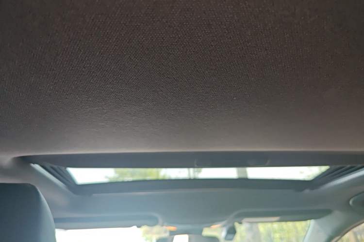 Used Toyota Levin 2022 185T CVT Luxury Edition Headliner
