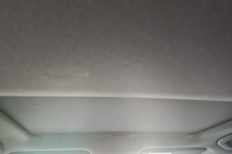 Used Toyota Levin 2022 185T CVT Sport Edition Headliner