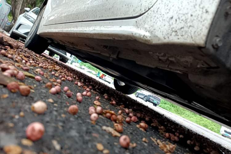 Used Toyota Levin 2022 TNGA 1.5L CVT Progressive Edition Right Side Sill