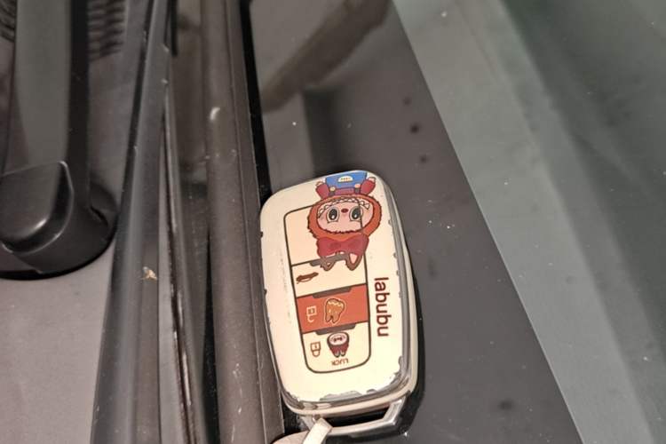 Used Toyota Levin 2022 185T CVT Luxury Edition Vehicle Key