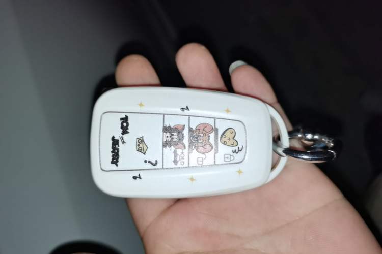 Used Toyota Levin 2022 185T CVT Luxury Edition Vehicle Key