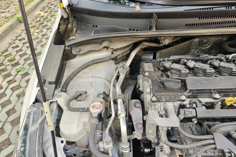 Used Toyota Levin 2023 2.0L Leading Edition Engine Bay Right