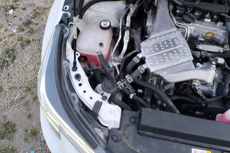 Used Toyota Levin 2023 185T CVT Luxury Edition Engine Bay Right