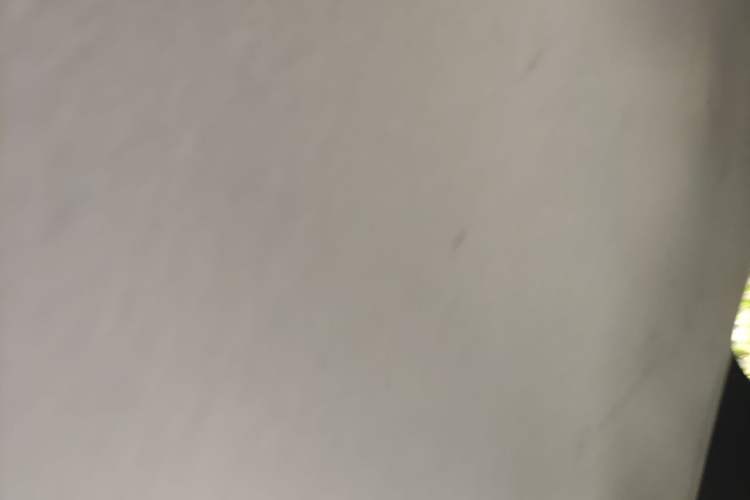 Used Toyota Levin 2023 Smart Electric Hybrid Dual-Engine 1.8L Leading Edition Headliner