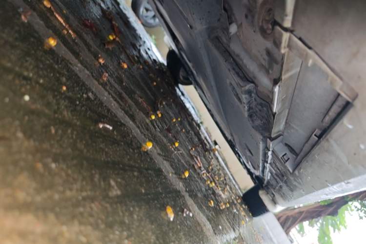 Used Toyota Levin 2023 Smart Electric Hybrid Dual-Engine 1.8L Sport Edition Right Side Sill