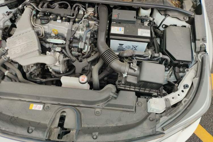 Used Toyota Levin 2024 185T CVT Luxury Edition Engine Bay Left