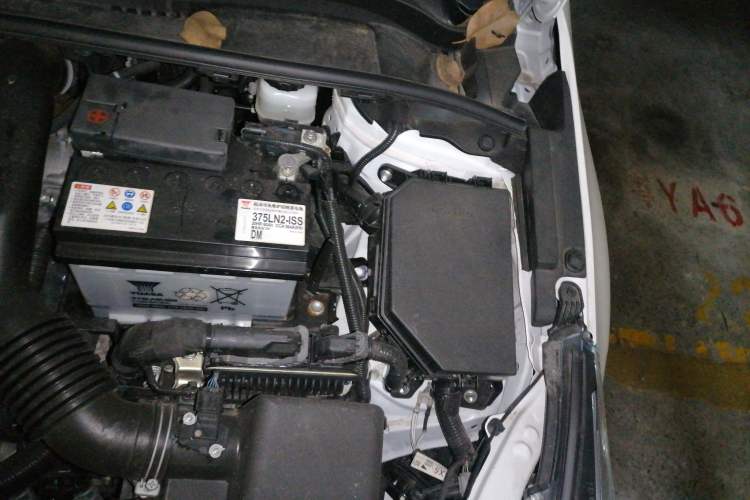 Used Toyota Levin 2024 185T CVT Luxury Edition Engine Bay Left