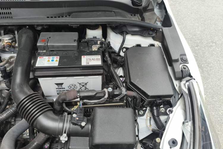 Used Toyota Levin 2024 185T CVT Luxury Edition Engine Bay Left