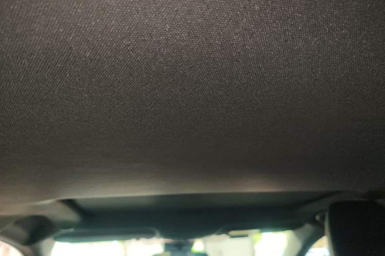 Used Toyota Levin 2024 185T CVT Luxury Edition Headliner