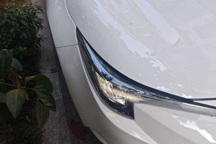 Used Toyota Levin 2024 Smart Electric Hybrid Dual-Engine 1.8L Leading Edition Right Front Headlight