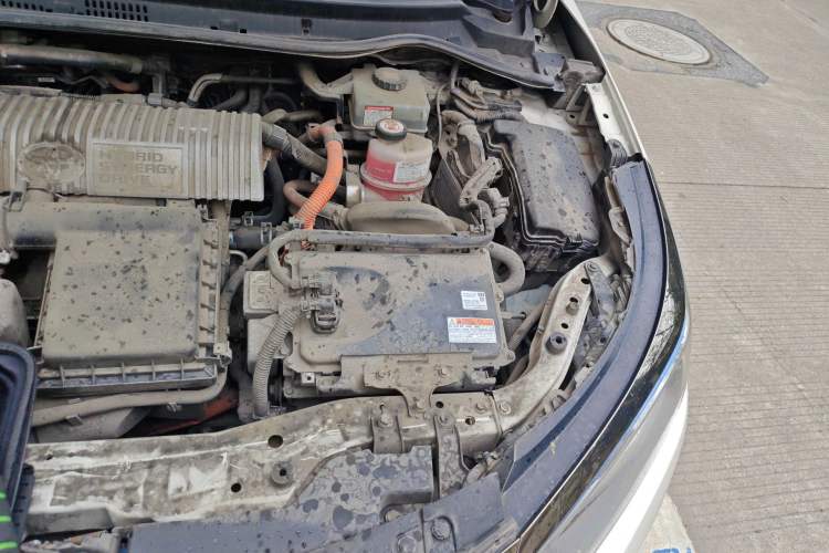 Used Toyota Levin Hybrid E+ 2019 1.8L PH GS E-CVT Elite Edition Engine Bay Left