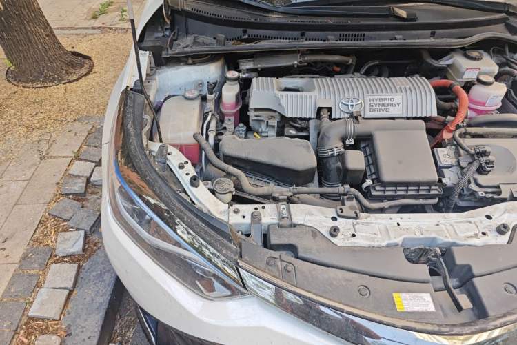 Used Toyota Levin Hybrid E+ 2019 1.8L PH GS E-CVT Elite Edition Engine Bay Right