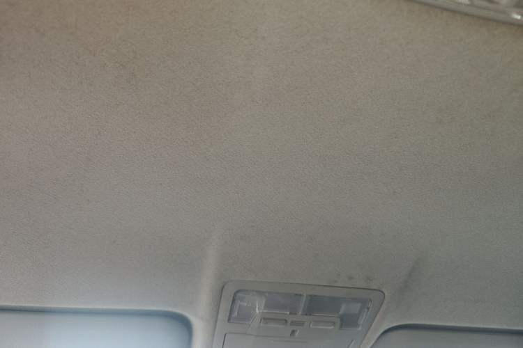 Used Toyota Levin Hybrid E+ 2019 1.8L PH GS E-CVT Elite Edition Headliner