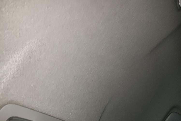 Used Toyota Levin Hybrid E+ 2019 1.8L PH GS E-CVT Elite Edition Headliner