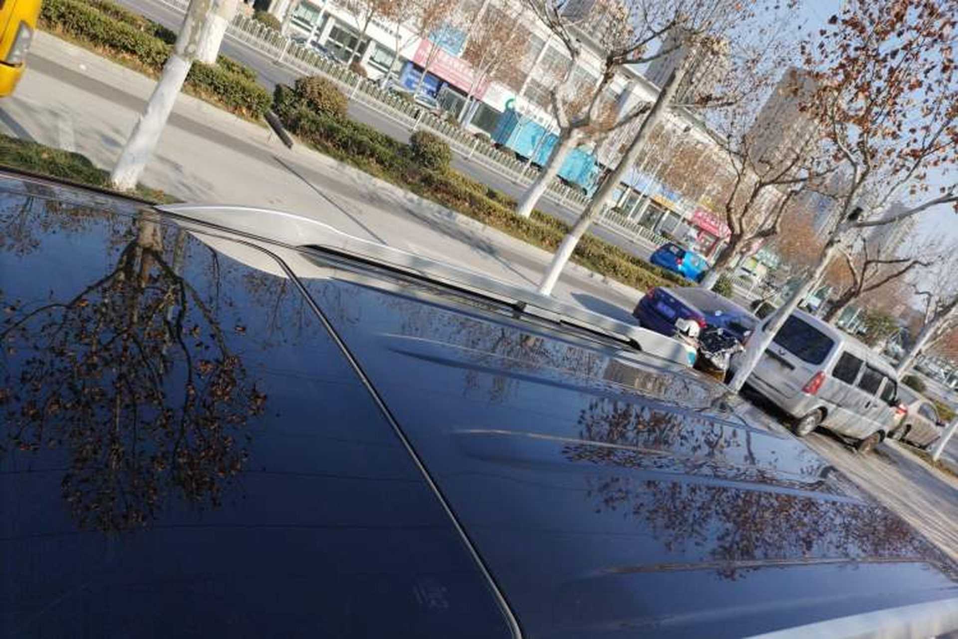 Used Toyota Prado  Roof