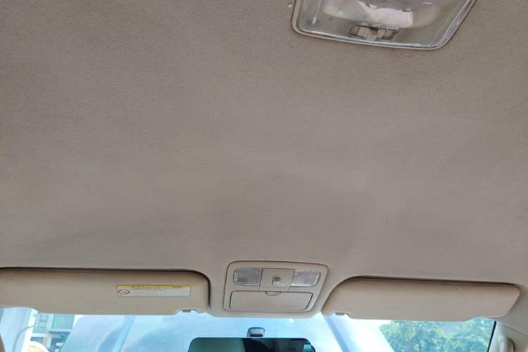 Used Toyota Prado 2004 GX 2.7 Automatic Model Headliner