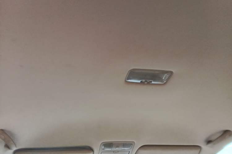 Used Toyota Prado 2004 GX 2.7 Automatic Model Headliner