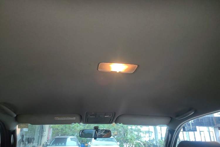 Used Toyota Prado 2004 GX 2.7 Automatic Model Headliner