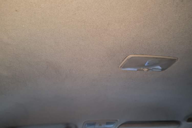 Used Toyota Prado 2004 GX 2.7 Automatic Model Headliner