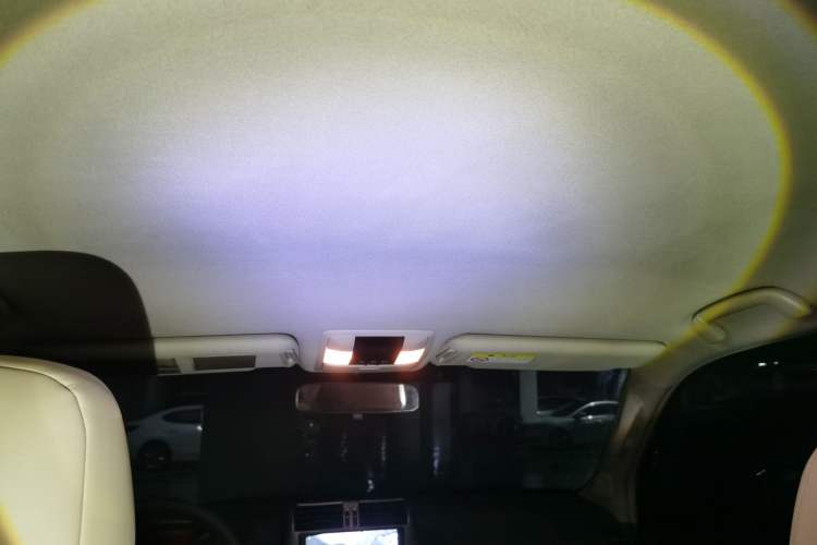 Used Toyota Prado 2010 2.7L Automatic Deluxe Edition Headliner