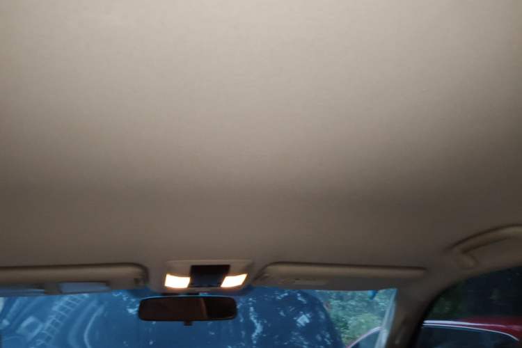 Used Toyota Prado 2010 2.7L Automatic Standard Edition Headliner