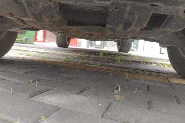 Used Toyota Prado 2010 4.0L Automatic TX-L Chassis Front