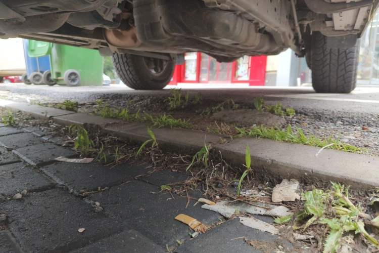 Used Toyota Prado 2010 4.0L Automatic TX-L Chassis Front Left