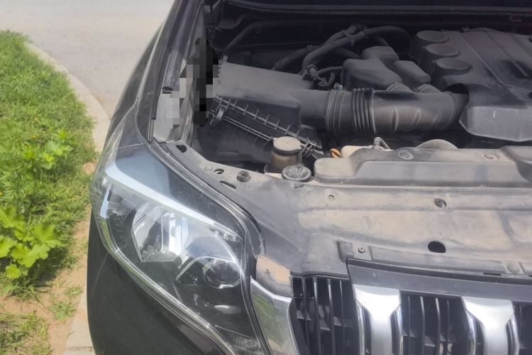 Used Toyota Prado 2010 4.0L Automatic TX-L Engine Bay Right